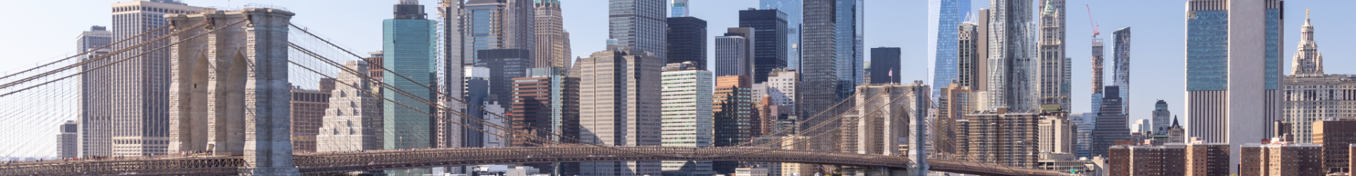I Can See New York